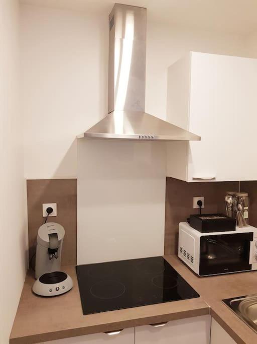 Le Jeanne 4/6 Couchages, Wifi, Sanctuaire Apartment Lourdes Bagian luar foto